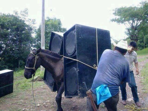 Photo d'un cheval très chargé