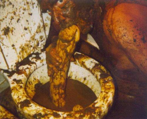 Photo scatomane d'un homme léchant un god dans une jerbe de merde