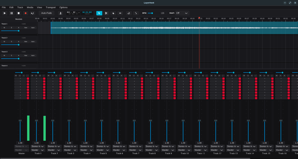 Layerhost Interface
