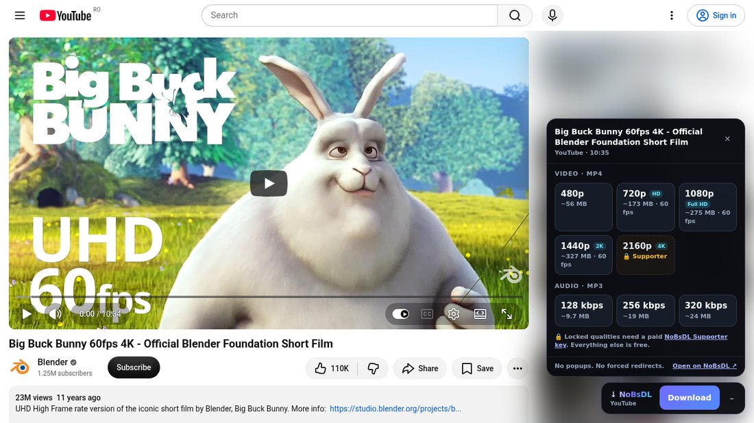 The NoBsDL panel on a video page: real qualities with their sizes