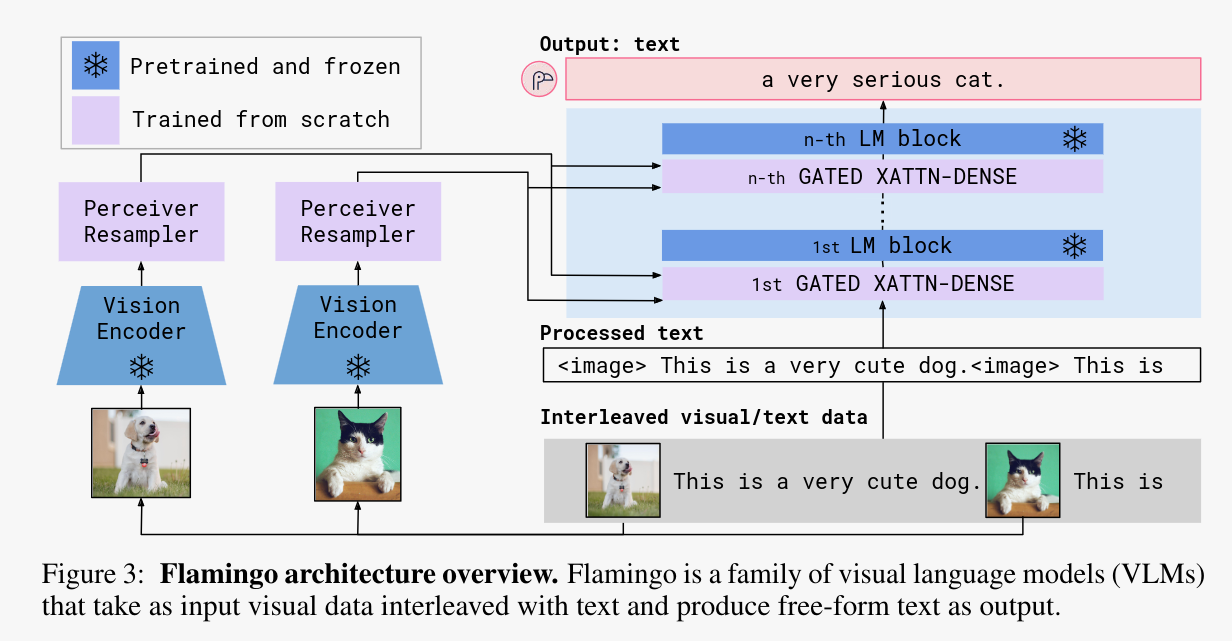 FLamingo schema