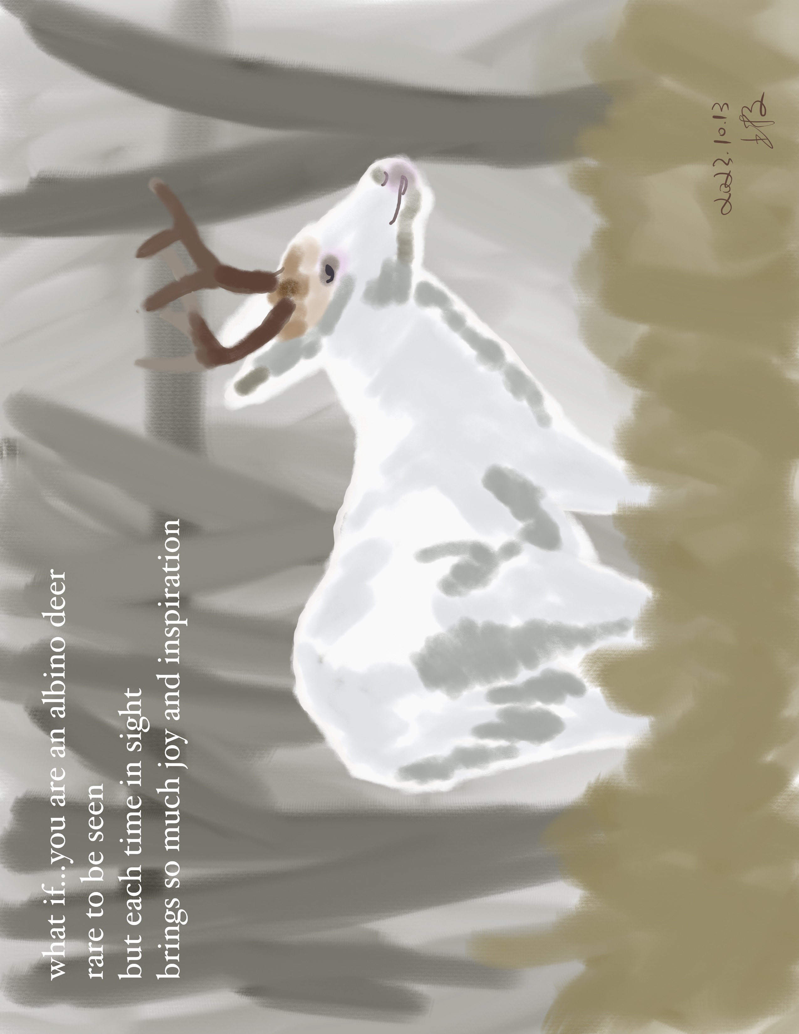 albino-deer