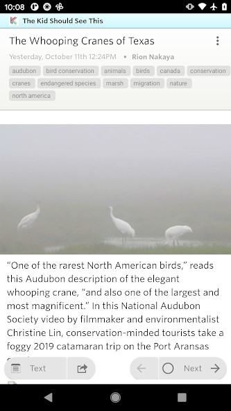 Screenshot 6 of NewsBlur — opens full size