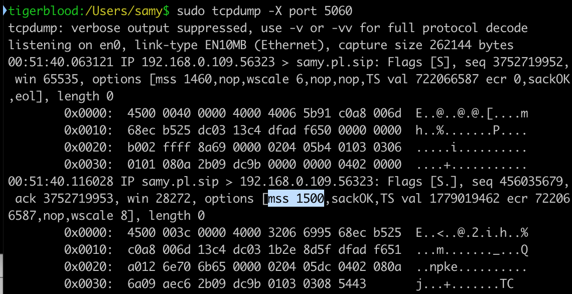 Custom Maximum Segment Size (mss)