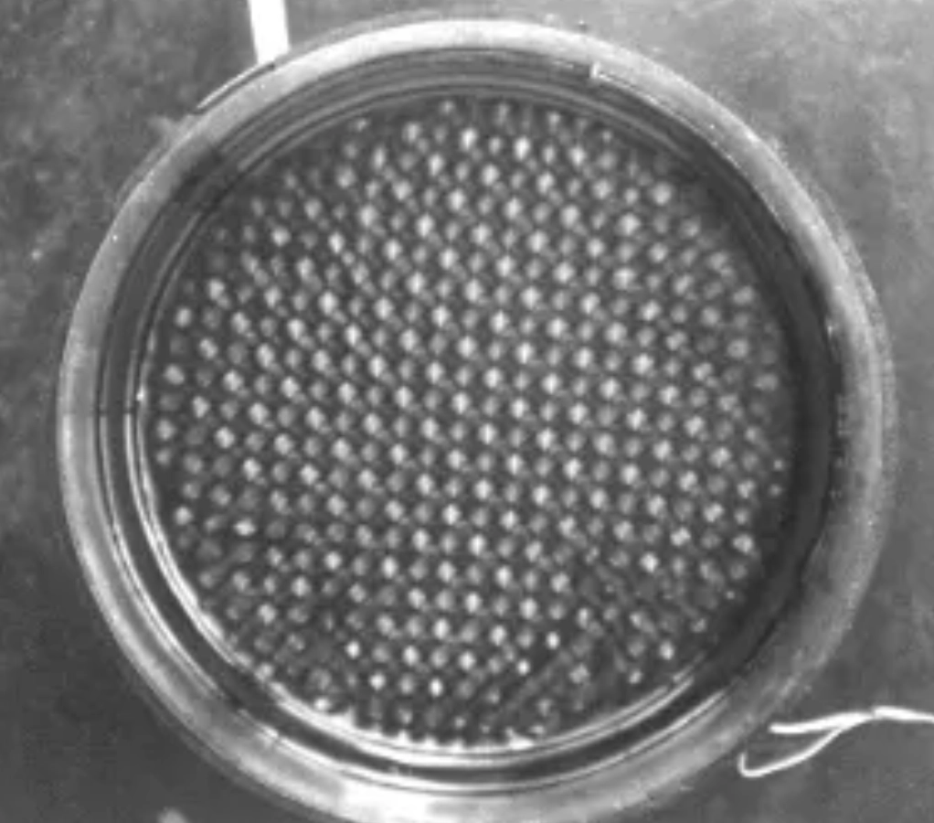 Sanity Check: Can Plants 'Talk'?