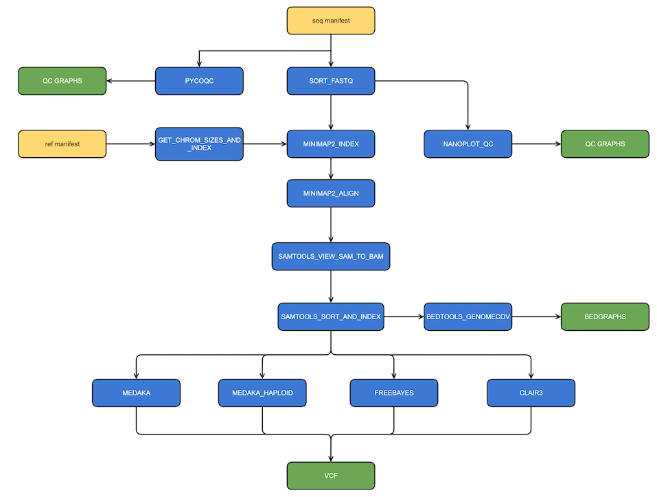 Image of nano-rave pipeline workflow