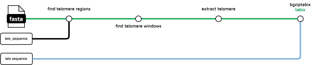 Telomere Finder workflow