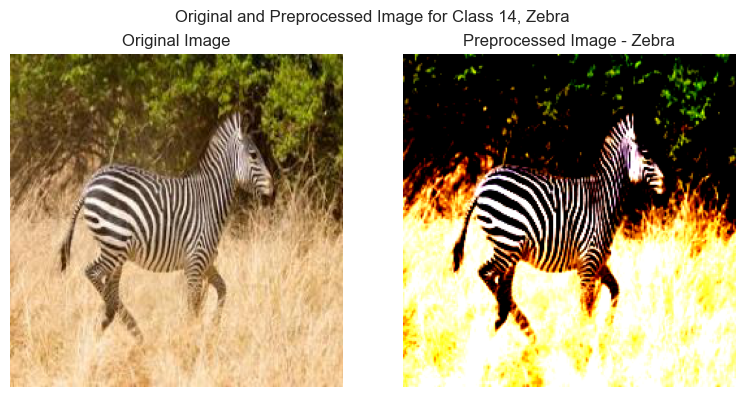 Zebra Image