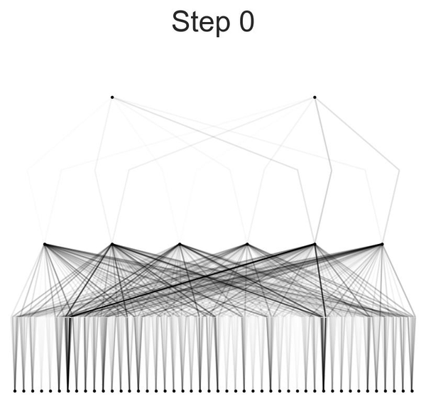 Classification Model in Training