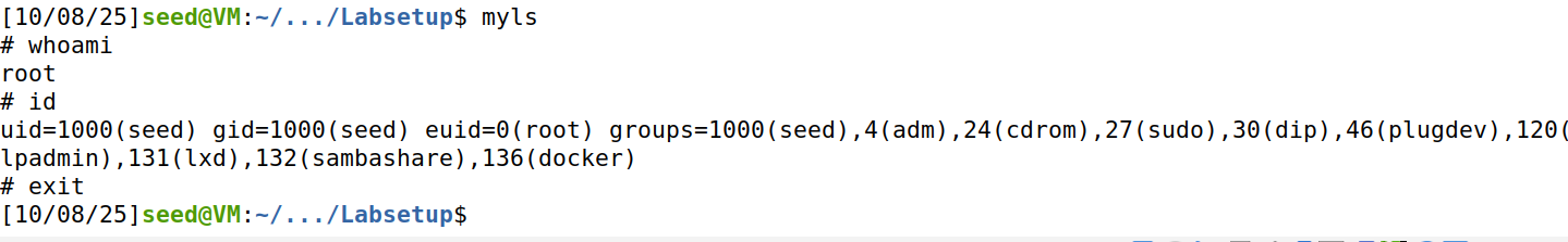 image-20251008175616862