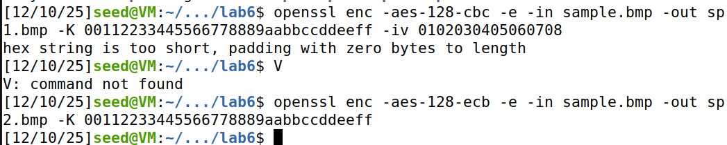 image-20251210233804196