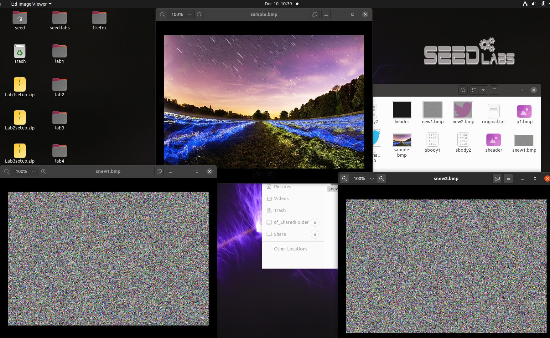 image-20251210233918140