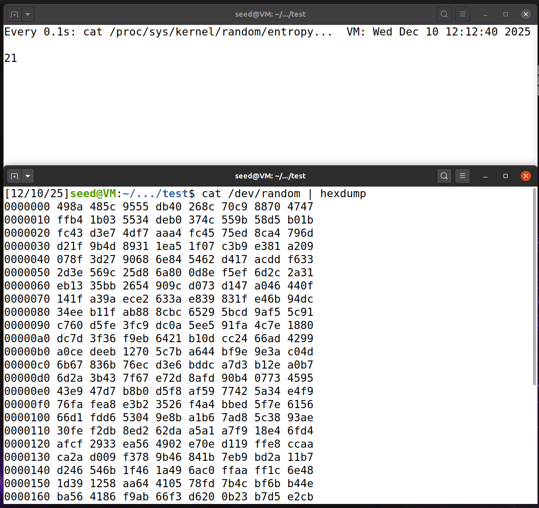 image-20251211011249647