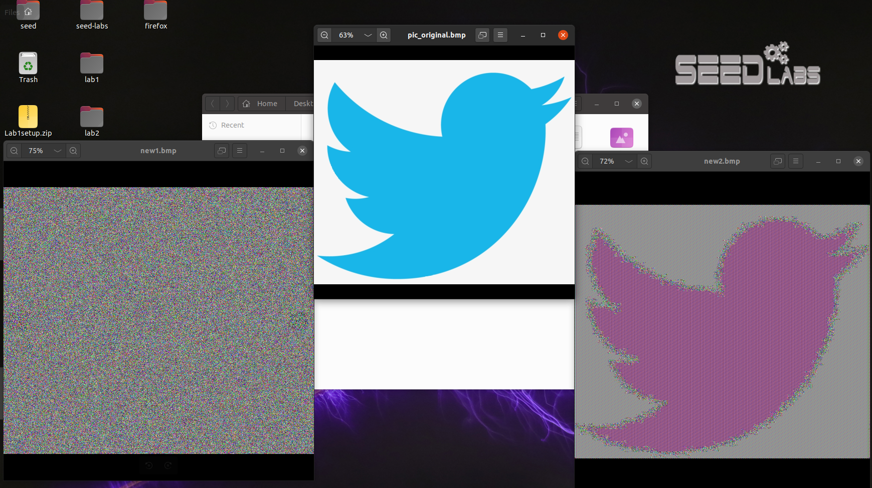 image-20251210233359794