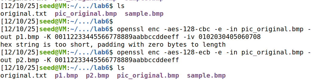 image-20251210233110403