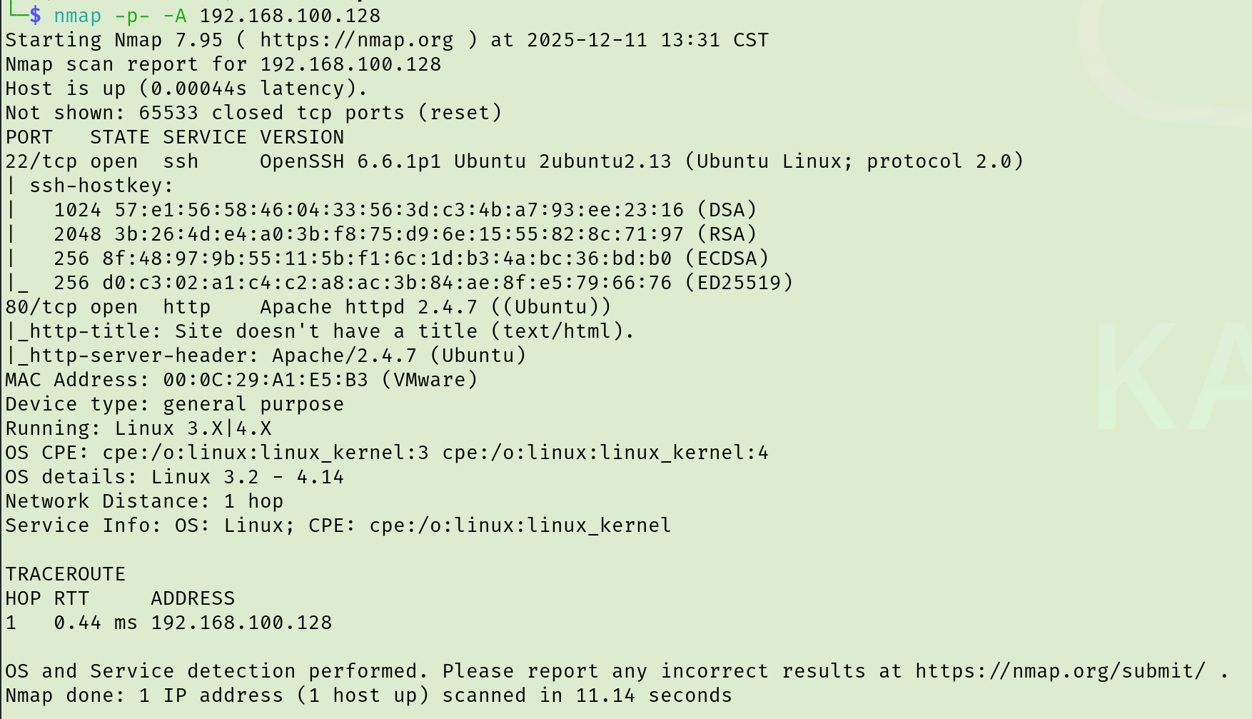 image-20251211133449597