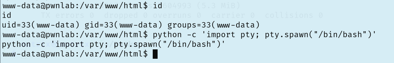 image-20251211170338013