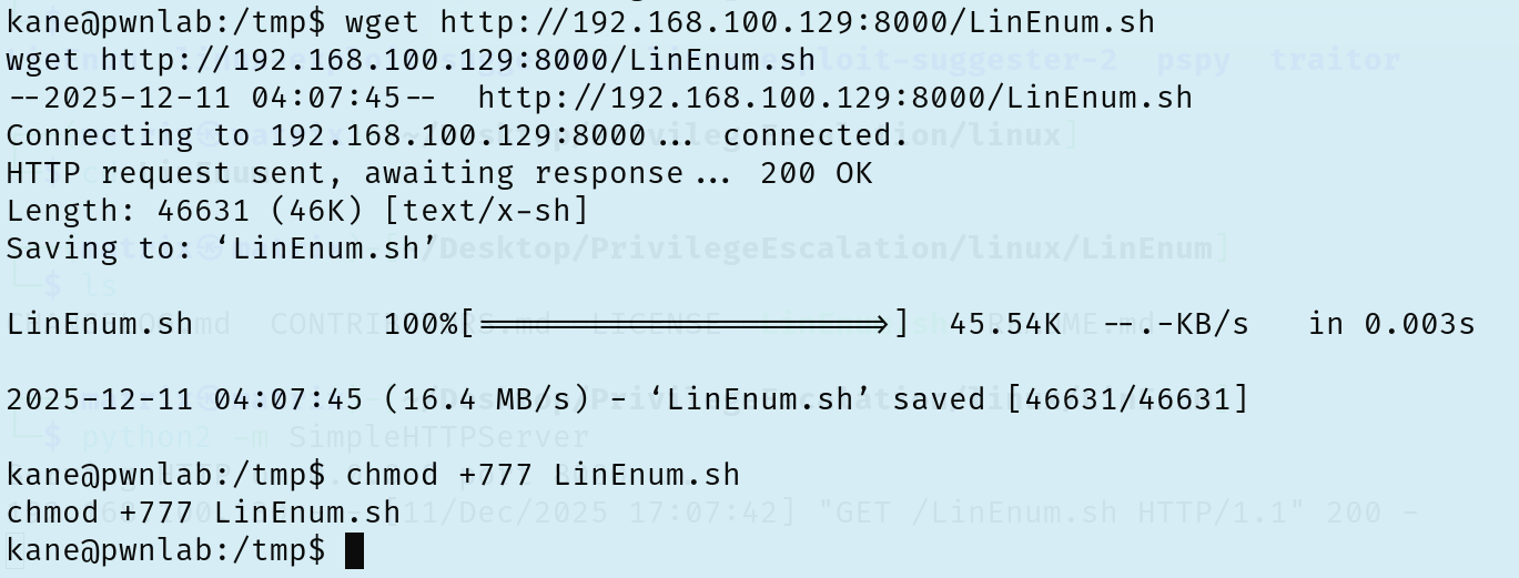 image-20251211170835720