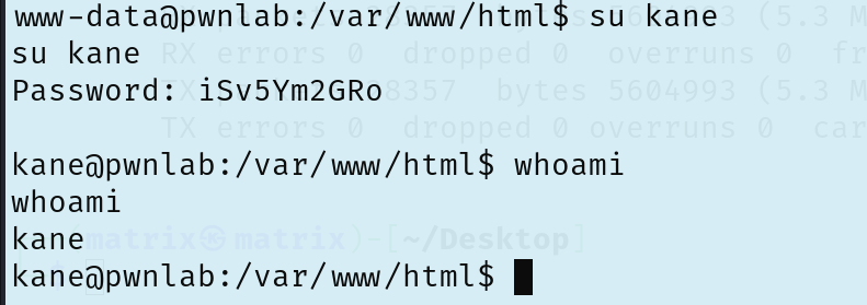 image-20251211170422068