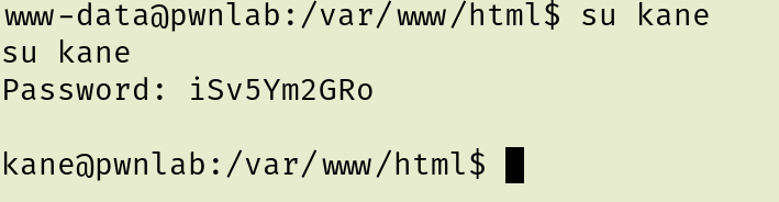 image-20251211204708564