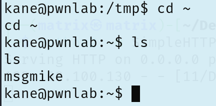 image-20251211171033301