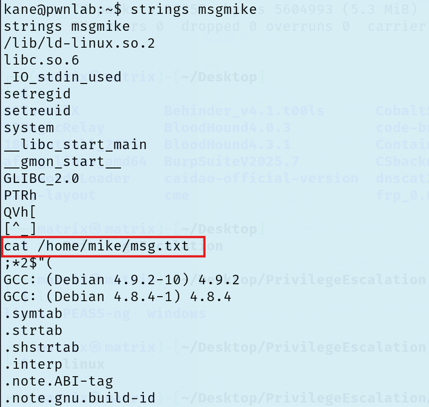 image-20251211171230279