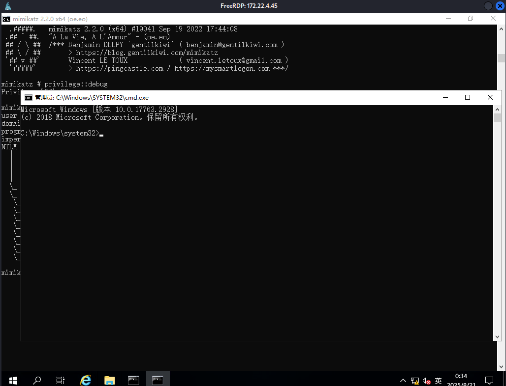 image-20250821003421277