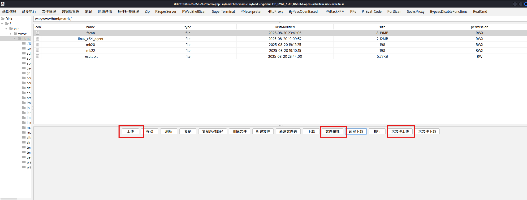 image-20250820234605212