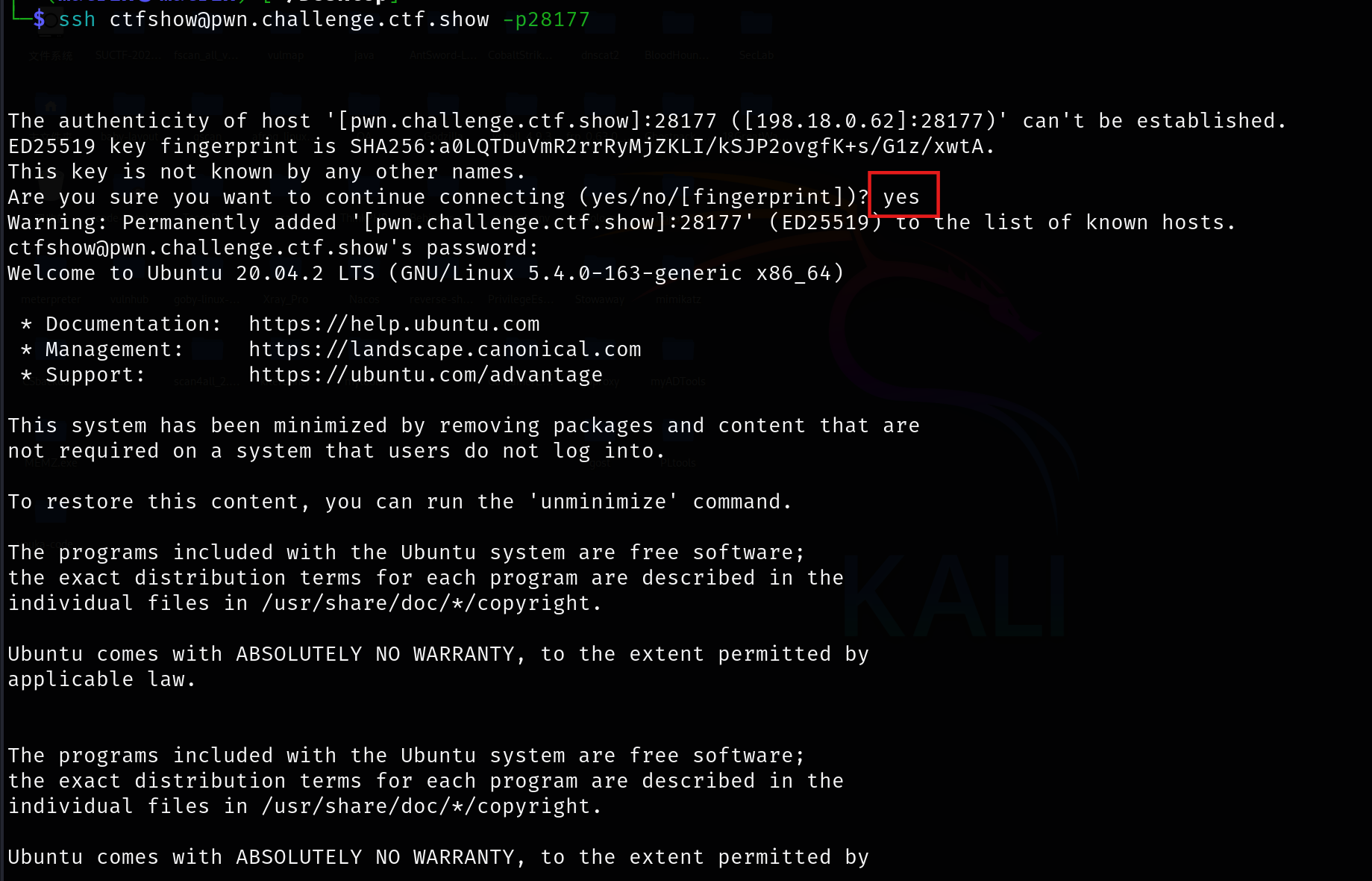 image-20260216083704955