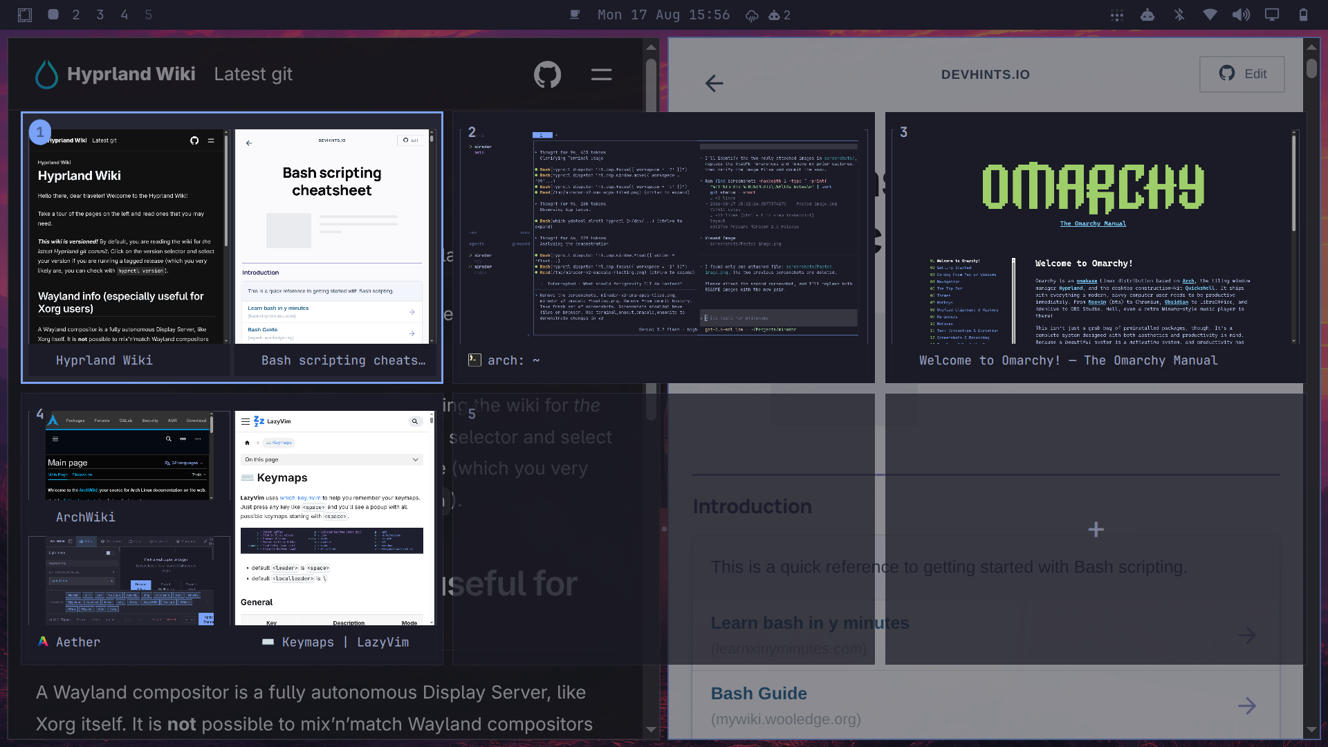 Mirador version 2 showing spatial window previews
