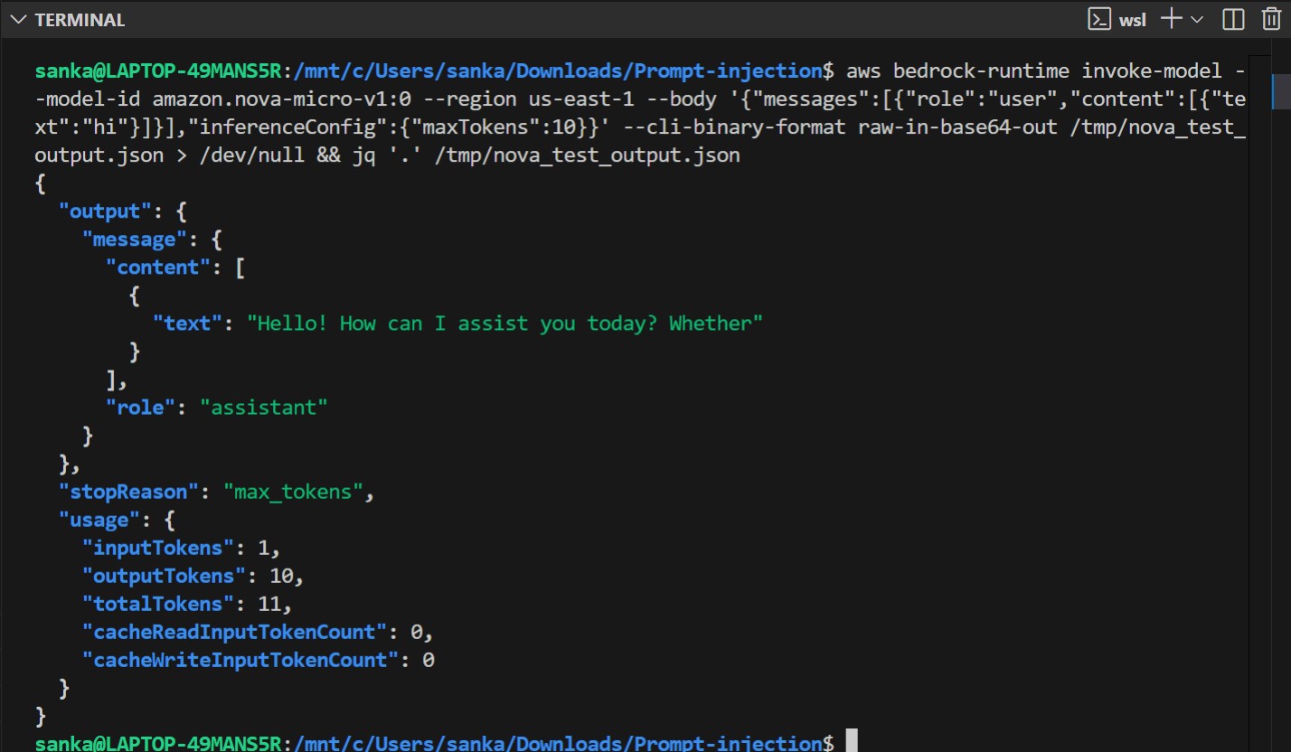 Bedrock model access page showing Amazon Nova Micro with Access granted status