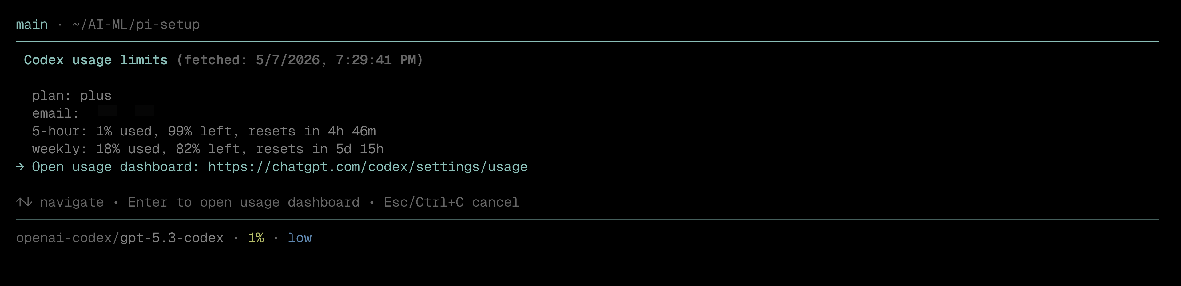 pi-codex-limit screenshot 4