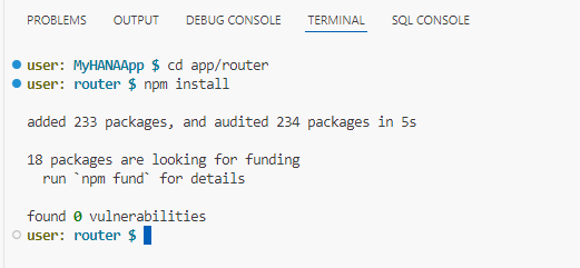 app router npm install