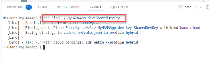 cds bind to db service