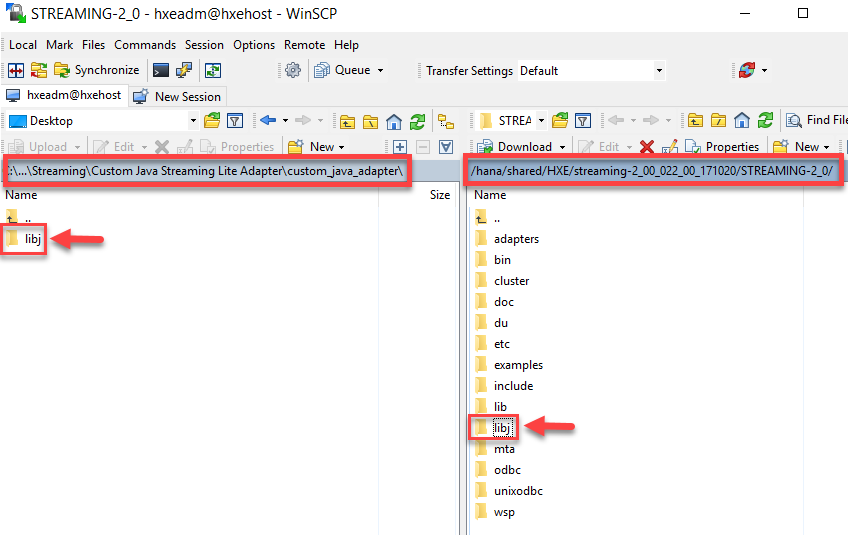 Move Java SDK Files