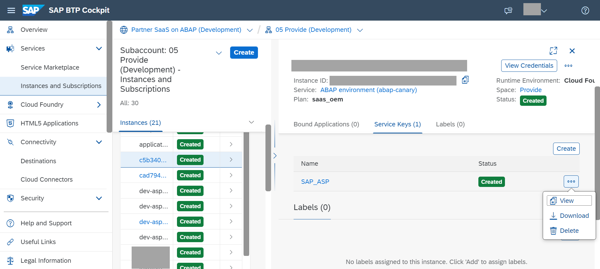Service Key for multi-tenant system