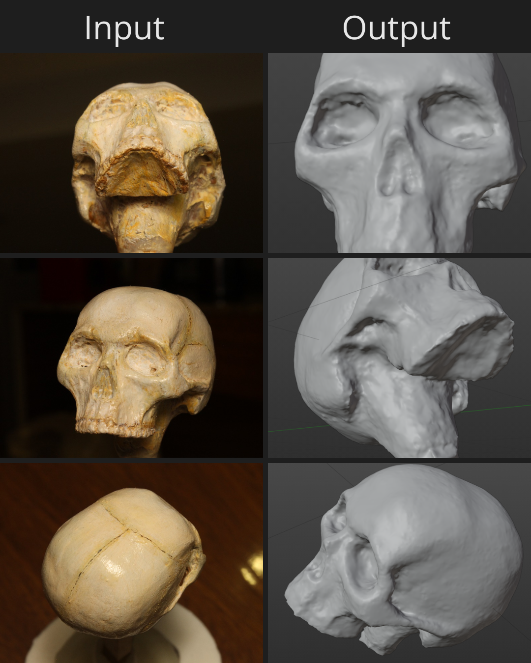 Skull sample