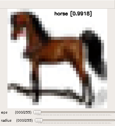horse_explore