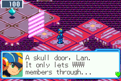 An Undernet skull door. MegaMan: A skull door, Lan. It only lets WWW members through...