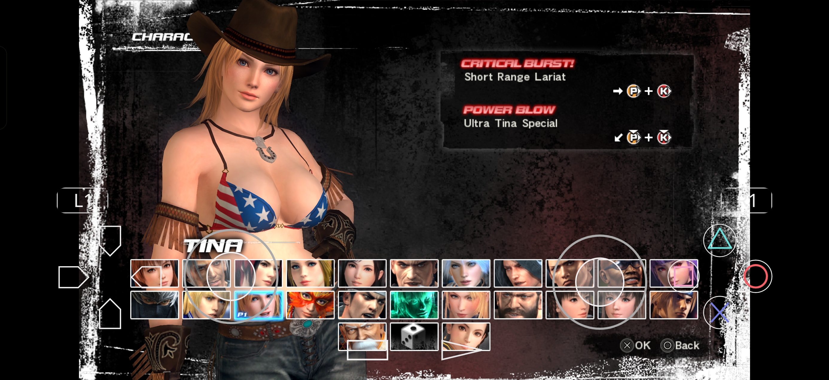 Dead or Alive 5 Plus