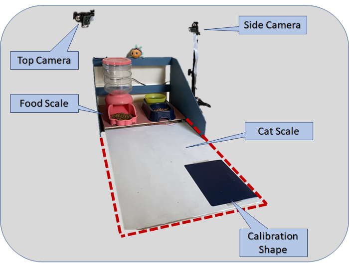 Diagram indicting two scales and camera placement